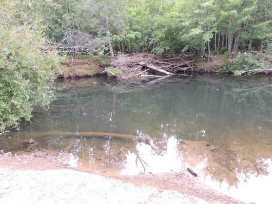 Meander River Platypus Pond